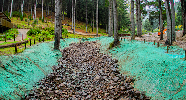 Sustainability Christchurch Adventure Park Stream Remdiation Project 3