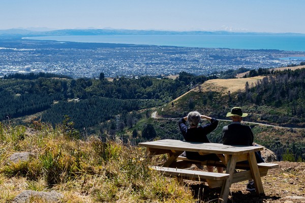 Christchurch Adventure Park Sightseeing