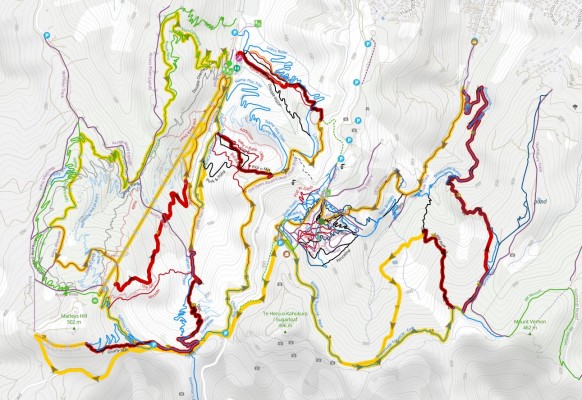 Trailforks Map